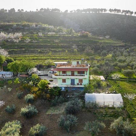 Vila Dean Berat Extérieur photo