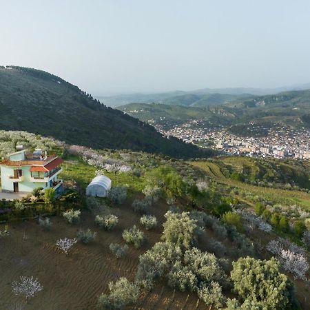 Vila Dean Berat Extérieur photo