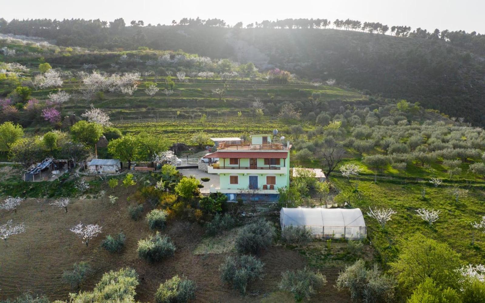 Vila Dean Berat Extérieur photo