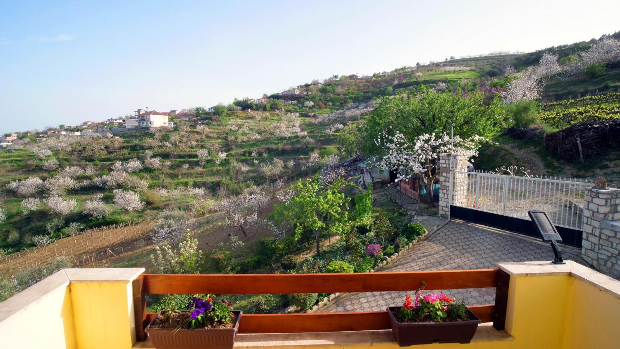 Vila Dean Berat Extérieur photo