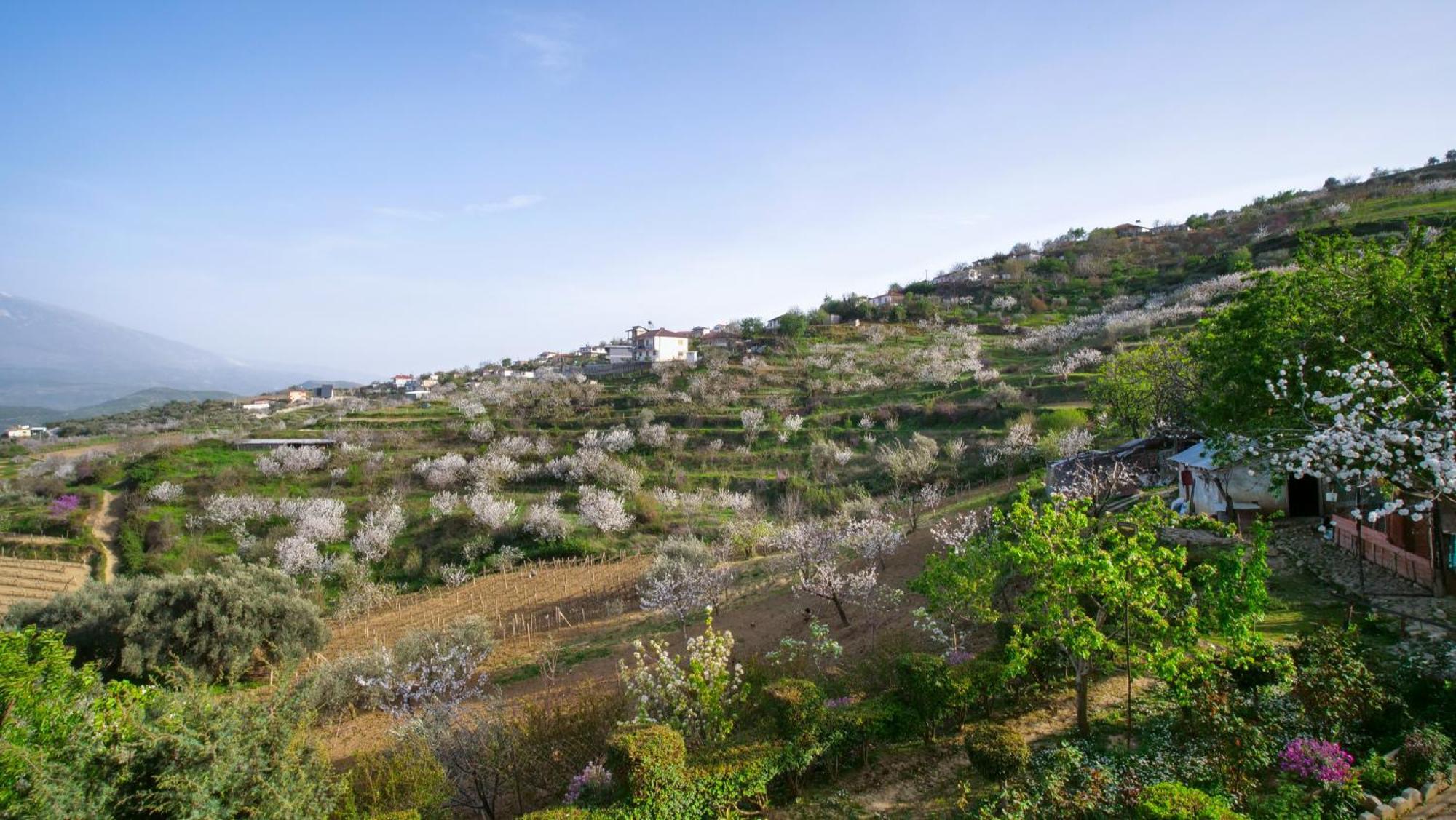Vila Dean Berat Extérieur photo