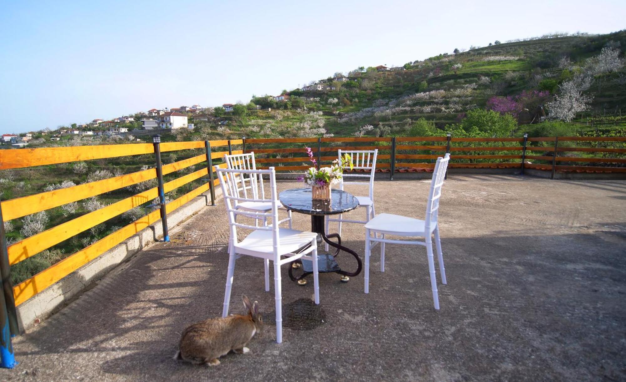 Vila Dean Berat Extérieur photo
