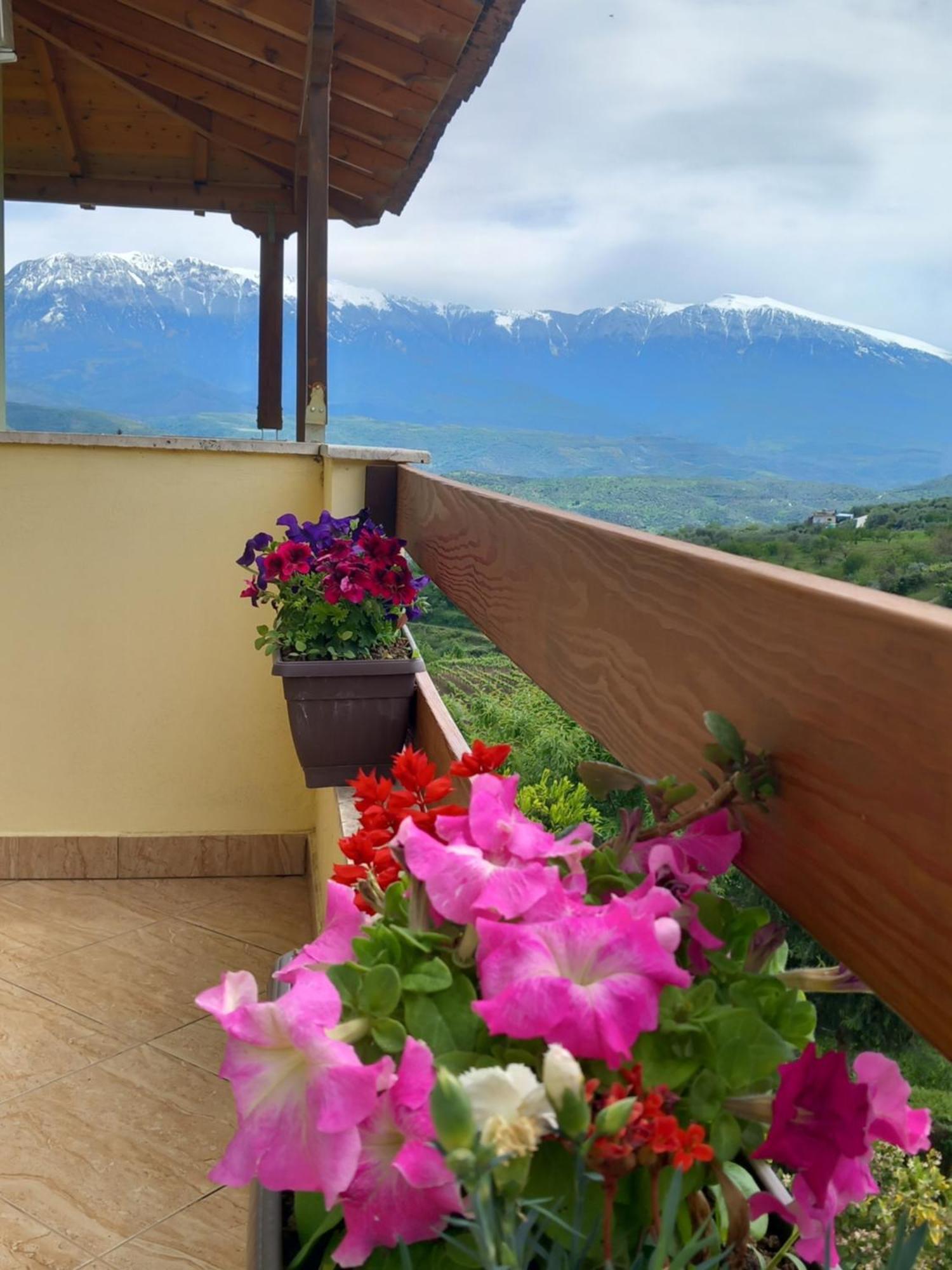 Vila Dean Berat Extérieur photo