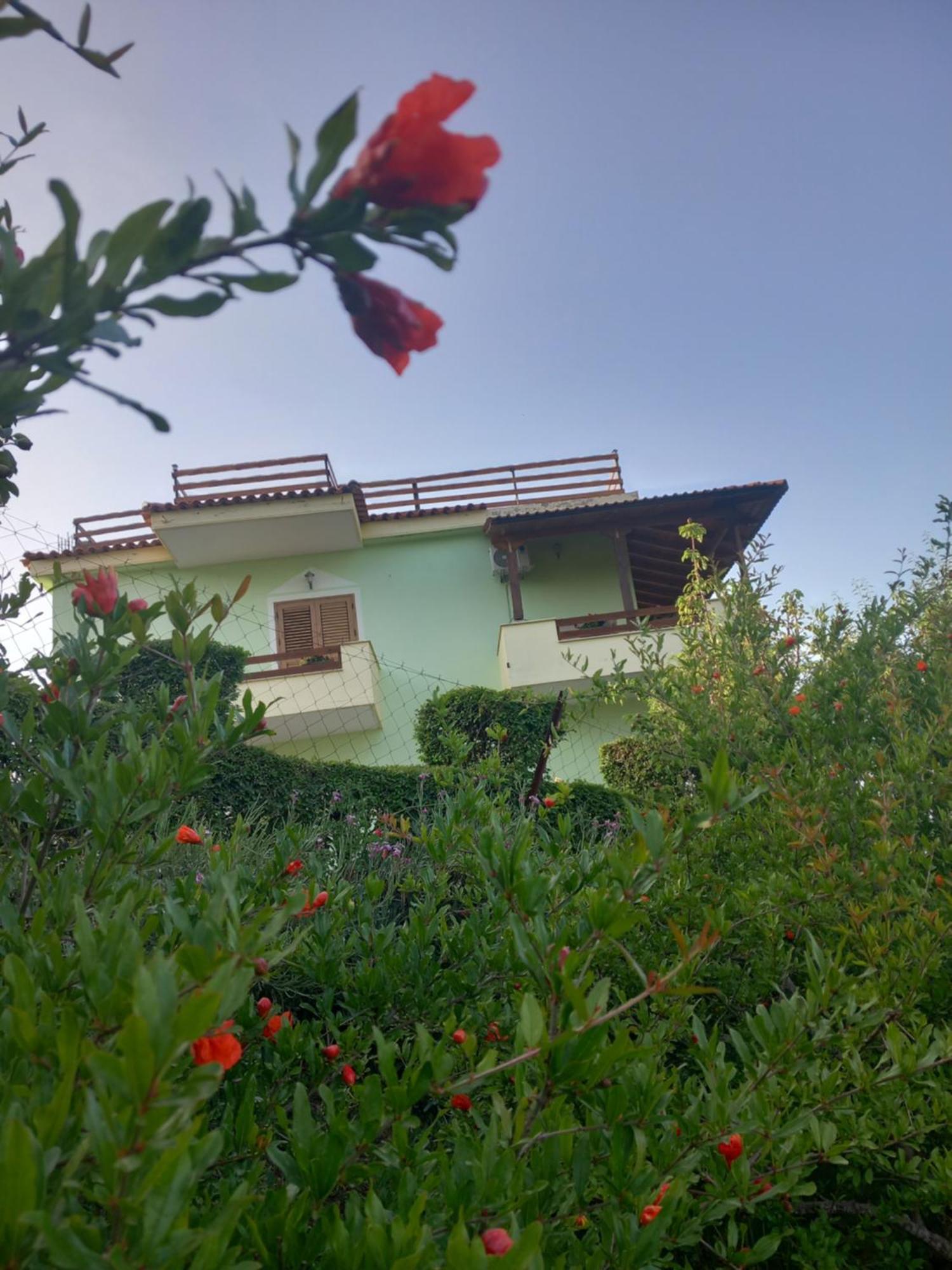 Vila Dean Berat Extérieur photo