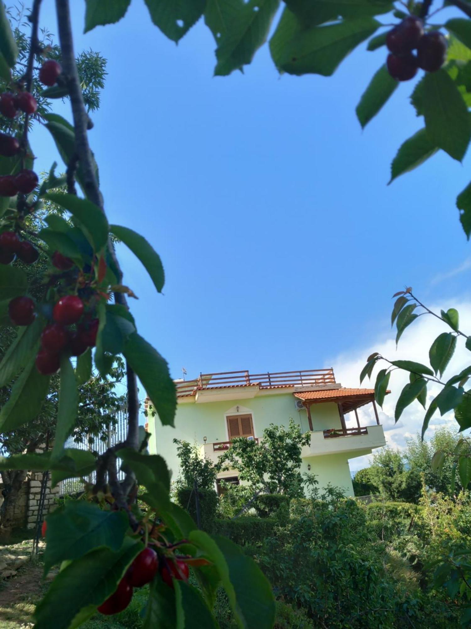Vila Dean Berat Extérieur photo
