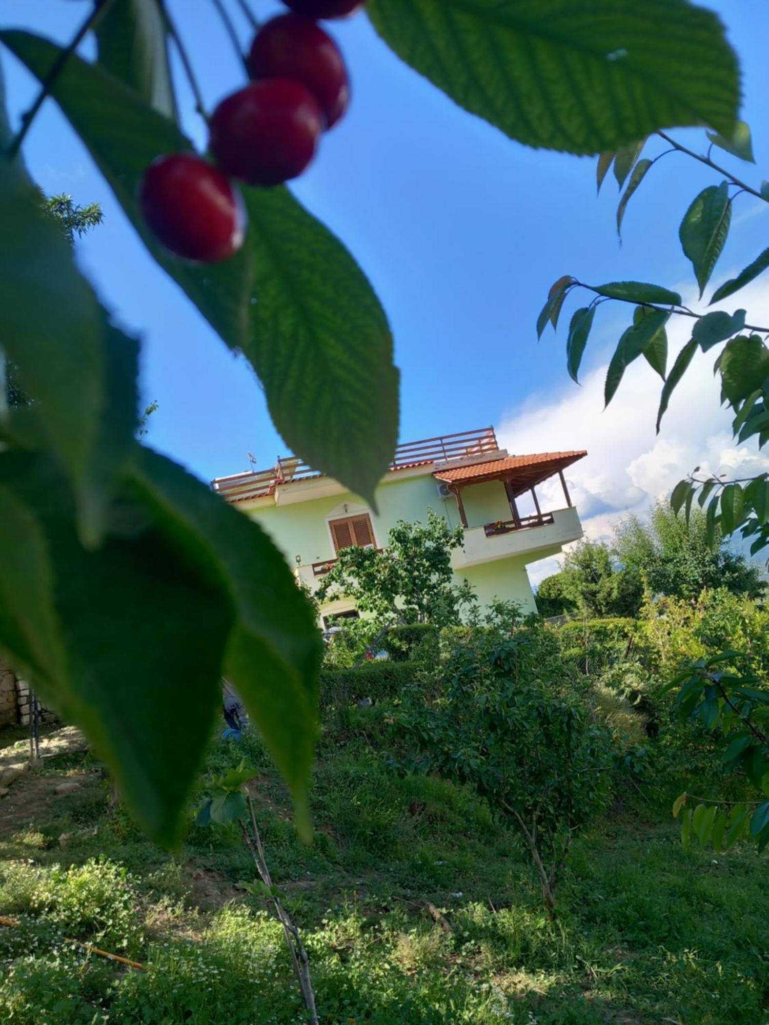 Vila Dean Berat Extérieur photo