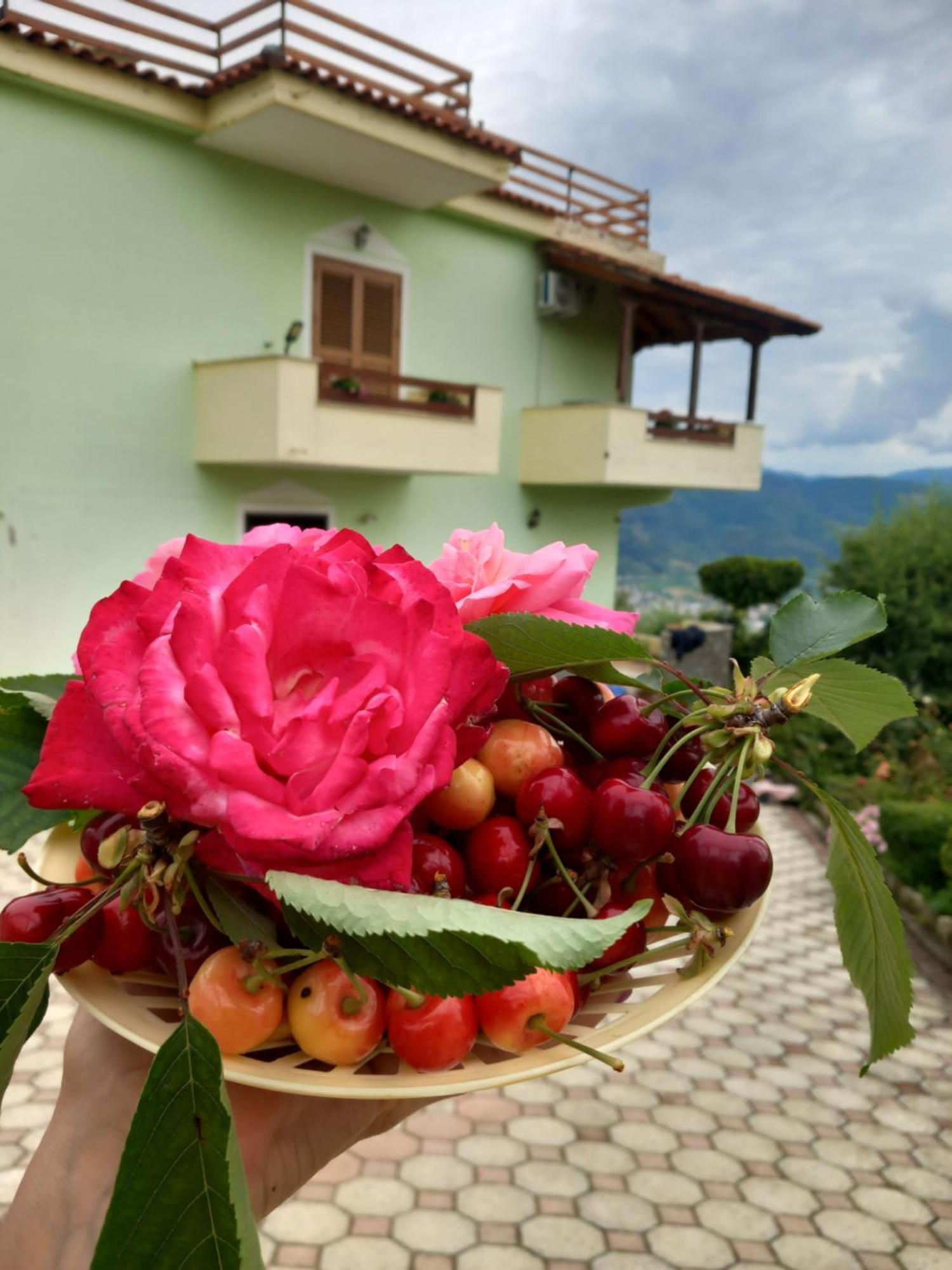 Vila Dean Berat Extérieur photo